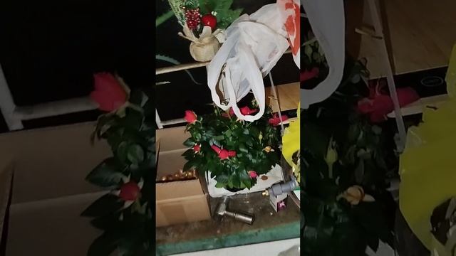 Вот такую вот штучку.. Под названием..?? Ответ в комменты #асмр #блог #влог #обзор #рассада #лук смотреть онлайн