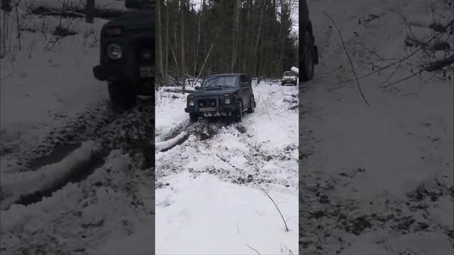 нива Vs Korando