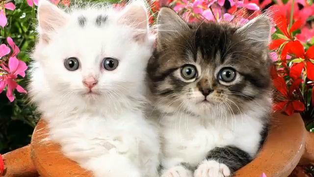 Новая клубная музыка. Целительная! Вы должны это... смотреть онлайн