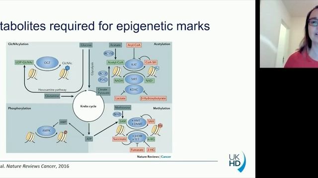 AC22 - Session IV :: Epigenetics: Now or Never? смотреть онлайн