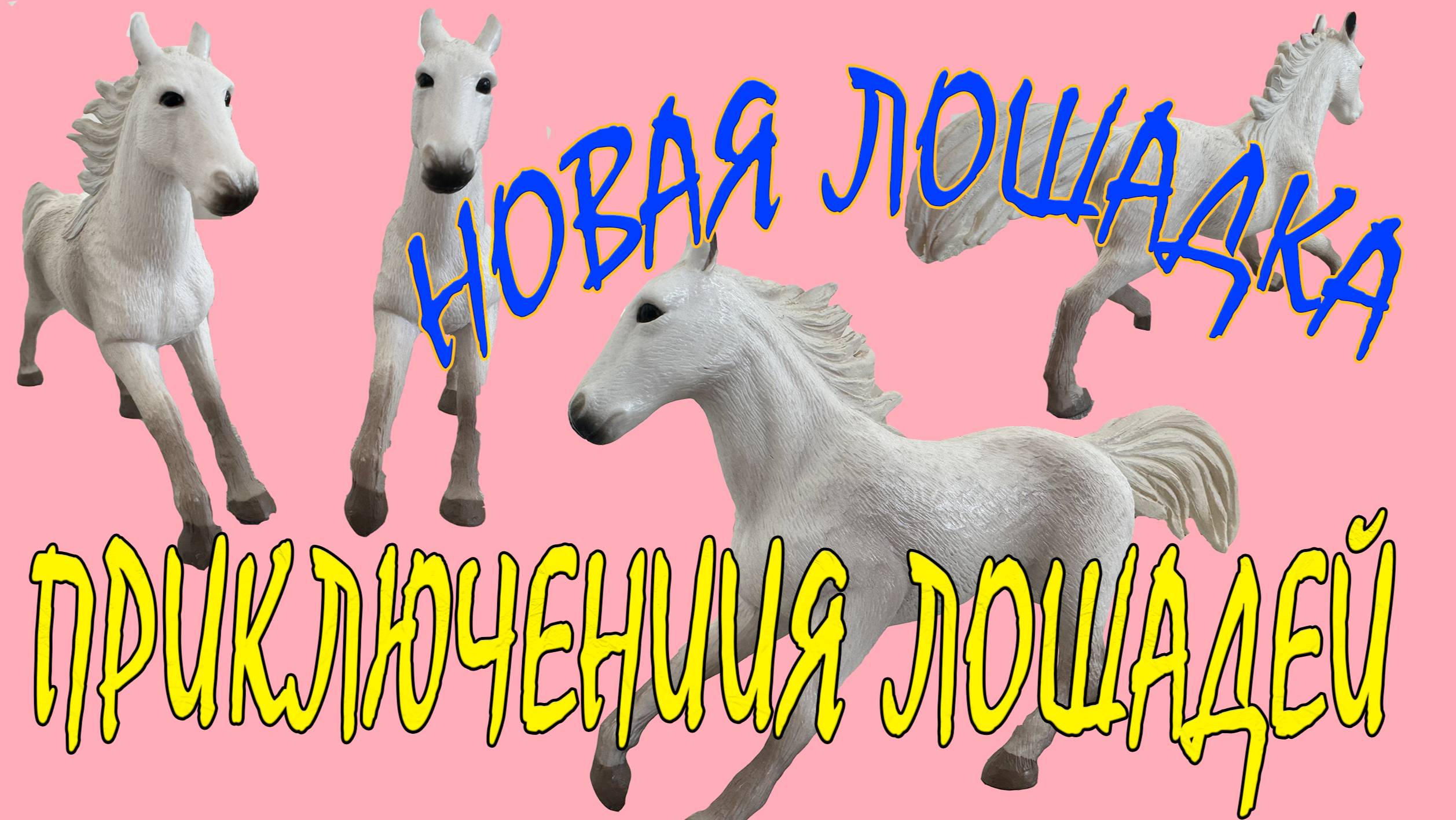Приключение лошадей, часть 9, Новая лошадка