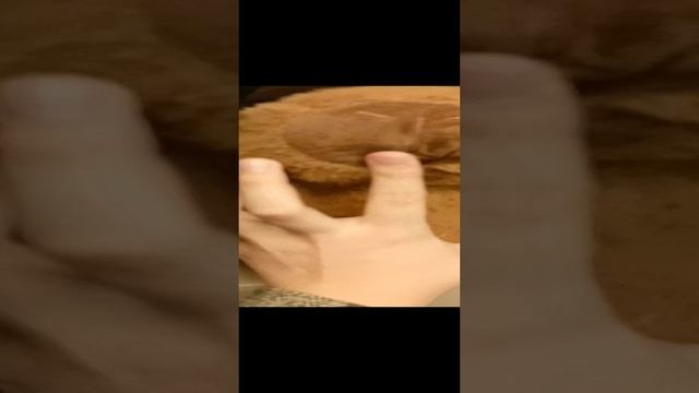 1000001918.mp4 смотреть онлайн