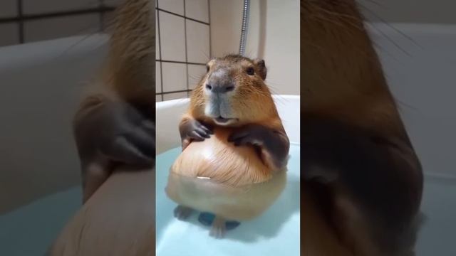 Я после праздников смотреть онлайн