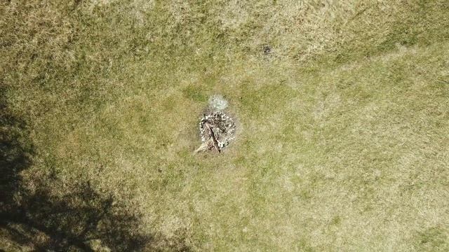Окунево смотреть онлайн