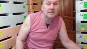 Триходерма. Борьба с гибелью червя. Часть 2.