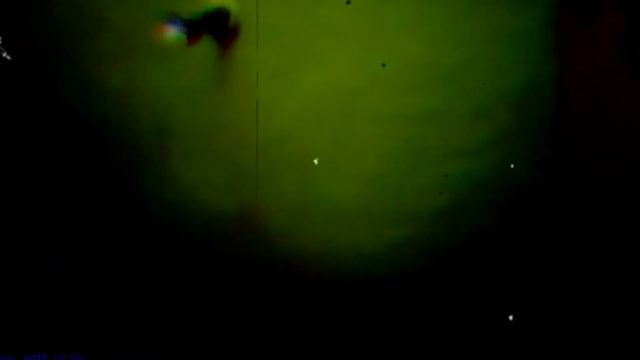 The First VHS Recording With A Filmed Siren Head.
