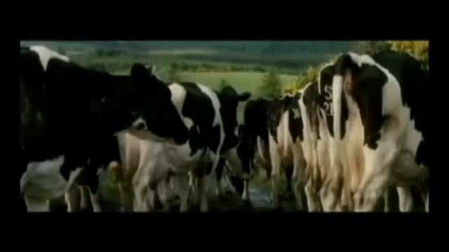 Leap Year Scene - Dubbing! смотреть онлайн