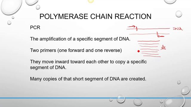 Overview Of Molecular Techniques
