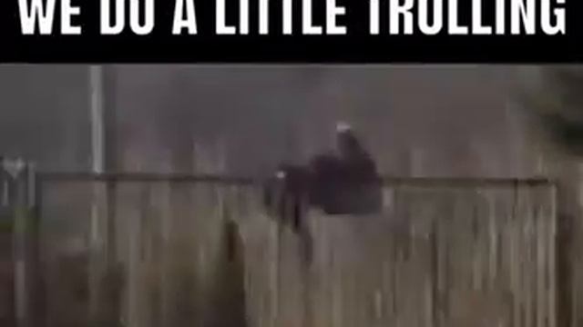 We Do A Little Trolling (Bomber Style) смотреть онлайн