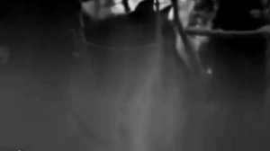 песня"Судьба"