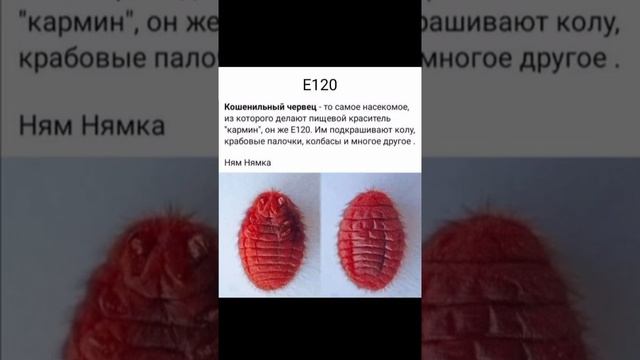 Не пейте колу смотреть онлайн
