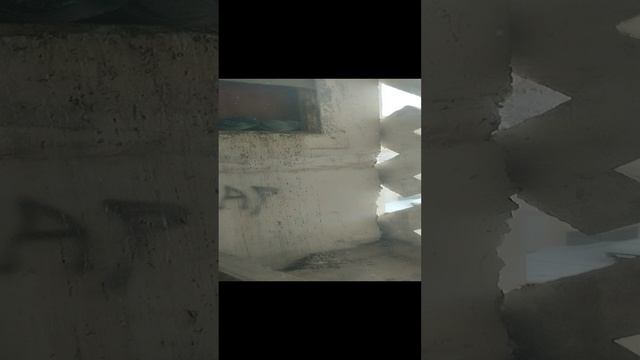 Голуби в балконе, они замëрзли смотреть онлайн