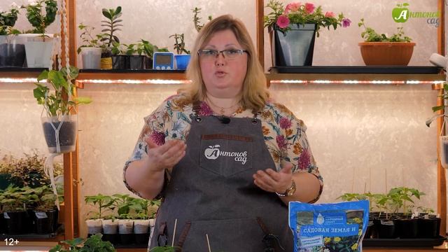 Вот из-за чего сохнут листья у рассады! 7 главных причин и как их исправить смотреть онлайн