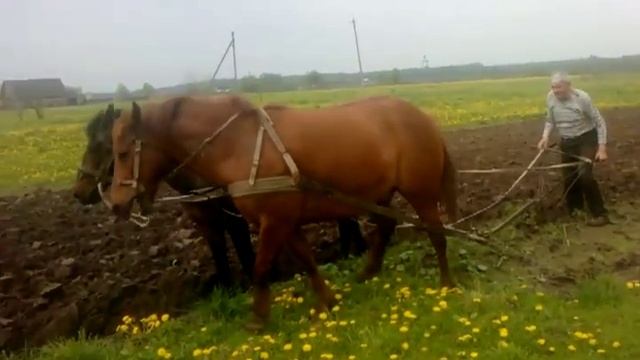 землю пасшим смотреть онлайн