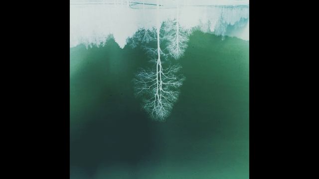 Sunbyonic - Behavior Of Curve