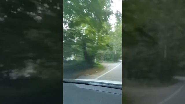 Медвежий угол. Опасная дорога. Активный отдых. Природа. Russia. Sochi. Rusia. смотреть онлайн