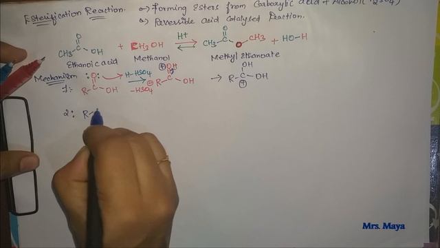 Esterification Reaction / Mechanism / Ester preparation / Neet 2020 / neet chemistry смотреть онлайн