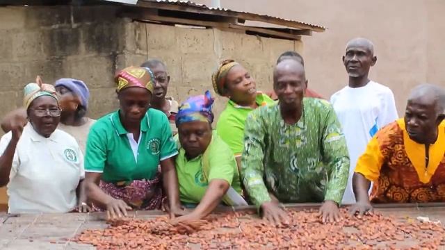 Kuapa Kokoo members of Kokofu Zone in the Ashanti Region of Ghana смотреть онлайн