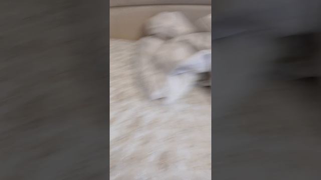 или новогодние подарки!🎁🎁🎁