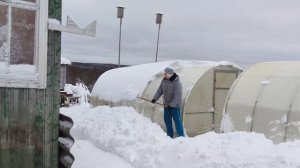 Дети в гостях у родителей .
