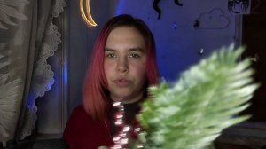 Новогодний асмр с Сестрой Маринетт