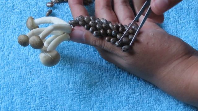 Wow! Amazing removing strange ticks style on fingers man | Designed from cereals and mushrooms смотреть онлайн