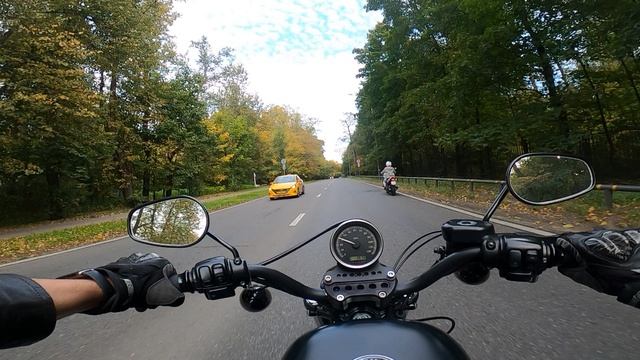 Осенний прохват Harley Davidson Sportster 1200 1
