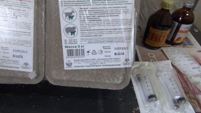 Сидемин для ягнят и овец. Лечим новорожденных ягнят.