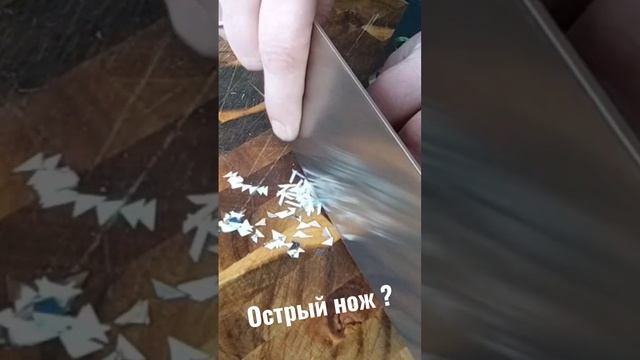 Проверь остроту своего ножа #shorts смотреть онлайн