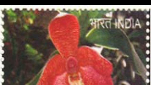 2016 Esmeralda Cathcartii Orchids Indian Stamps For Sell смотреть онлайн