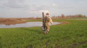 Вечерняя охота на селезня