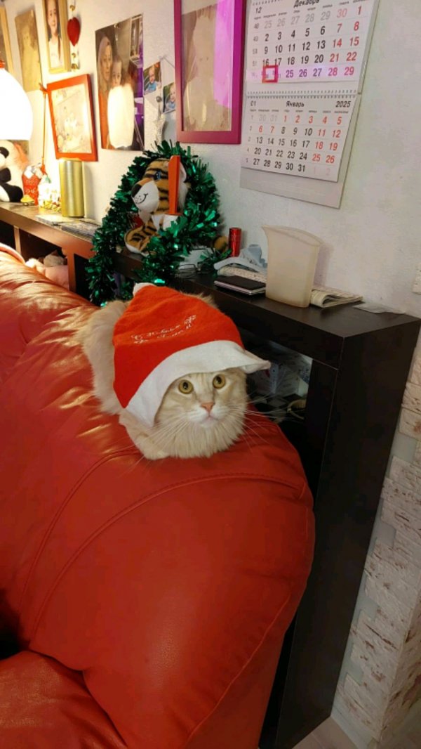 рассказываю про свой канал