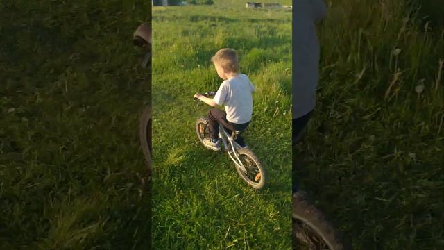 #булгакова #лето#янтигр# смотреть онлайн
