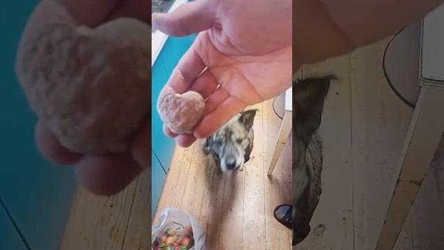 rutube.ru