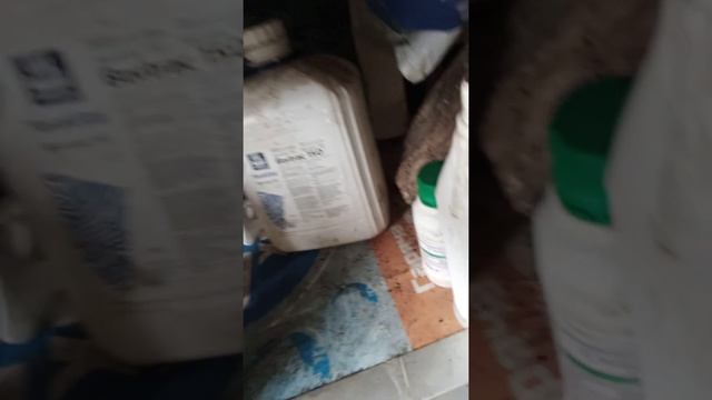 Якими пестицидами обробити малину у серпні 2022 року смотреть онлайн