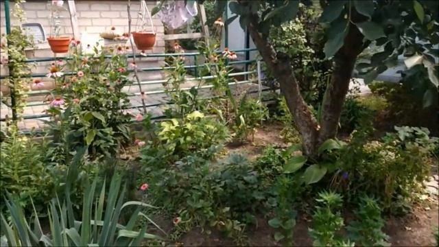 С друзьями на воскресный шашлычёк смотреть онлайн