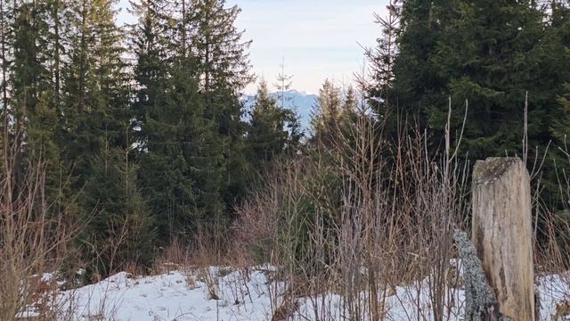 4k - Slovensko, Výstup na Javorový vrch (okruh) смотреть онлайн