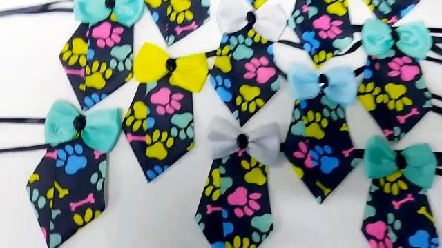 Gravata PET Social Estampado com Laço Patinhas Neon #UniPETOnline смотреть онлайн