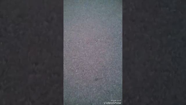 Ищу котёнка смотреть онлайн