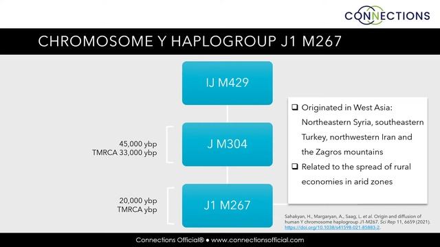 Connections YDNA Haplogroup J 2022 смотреть онлайн