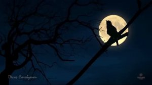 Как красиво поет соловей ночью в лесу слушать 1 ЧАС 🌿 Божественно! Чарующие звуки природы для души!