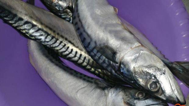 Книга рецептов