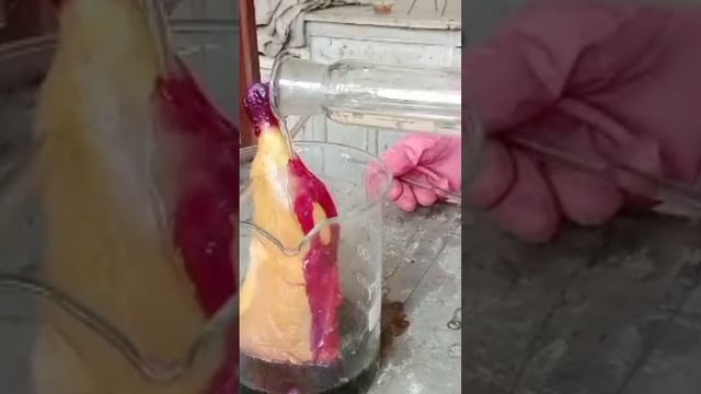 What Happens When Sulfuric Acid Is Added To Chicken Leg Piece || Acid On Chicken Leg