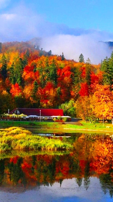 Осенние зарисовки смотреть онлайн