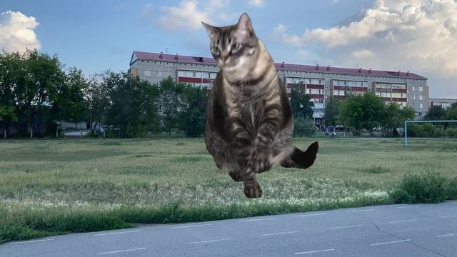 Котэдзила против Сиреноголового в Славгороде смотреть онлайн
