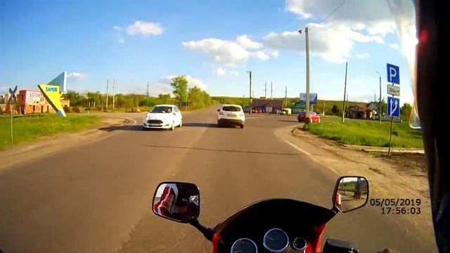 Собаки бросились под колеса смотреть онлайн