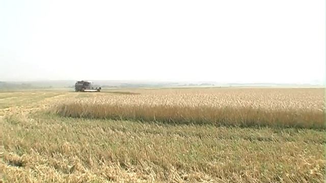 Выпуск передачи "Дневник" 14.08.2013 смотреть онлайн