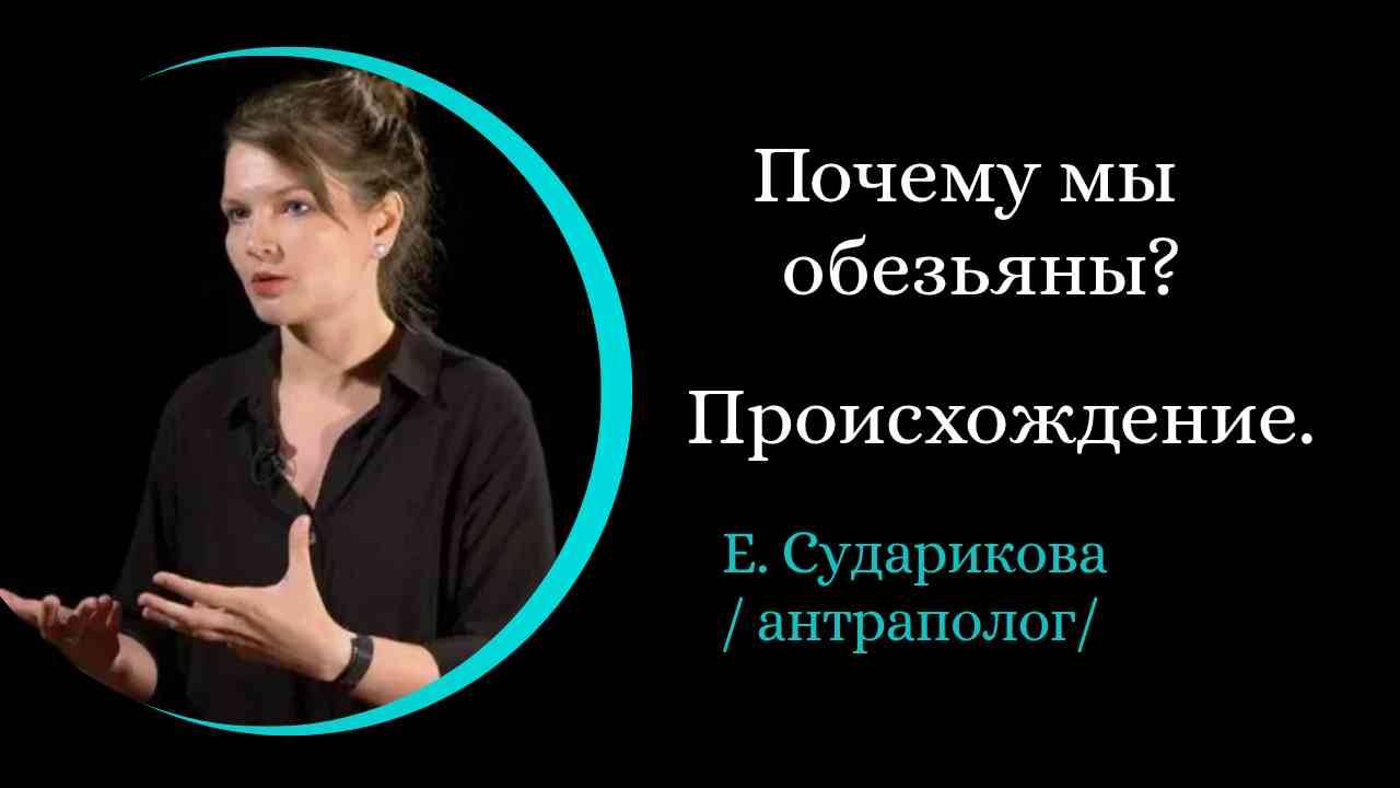 Почему мы обезьяны？ Происхождение человека. /Елена Сударикова/ смотреть онлайн