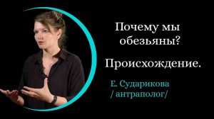 Почему мы обезьяны？ Происхождение человека. /Елена Сударикова/