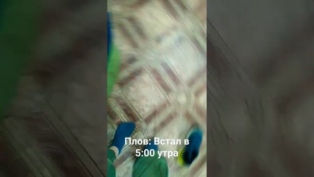 Плов готов! : #memes #shortsvideo смотреть онлайн
